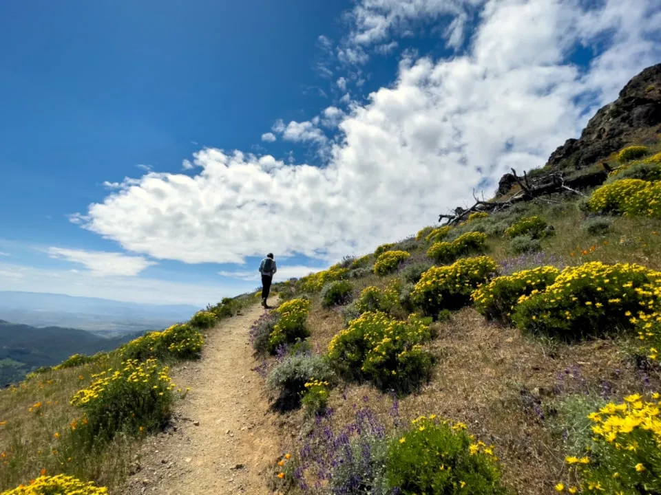 A walker climbing a steep grassy path on a hillside under a bright, cloudy sky